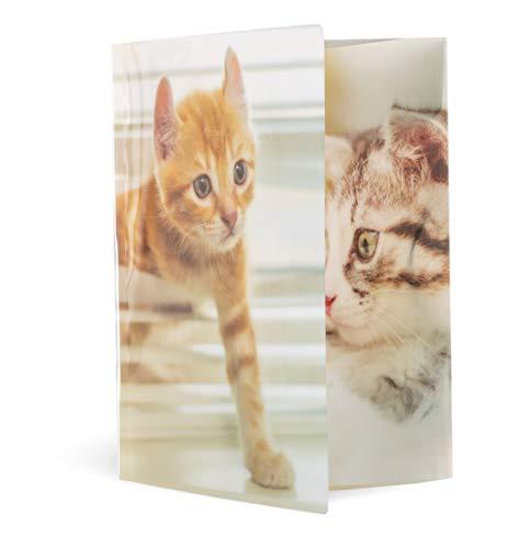 Herma Folder A4 Blizgus Katze