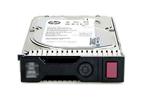 HP 4 TB 3,5 colio SAS-2 (6 Gb/s) serverio diskas (695842-001)