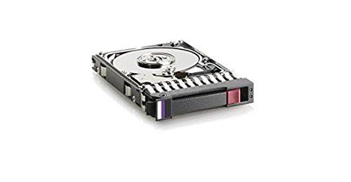 HP 4 TB 3,5 colio SAS-2 (6 Gb/s) serverio diskas (695842-001)