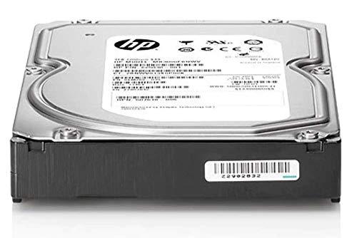 Hewlett Packard (HP) HP 3 TB 3,5 colio SATA III (6 Gb/s) serverio diskas (713823-B21)
