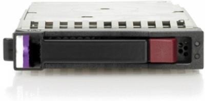 Hewlett Packard (HP) HP serverio diskas 160GB 3.5'' SATA III (6 Gb/s) (397552-001)