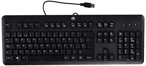 Hewlett Packard (HP) HP USB Standard Klaviatūra - Standard - su laidu - USB - Juodas - Sidabrinis