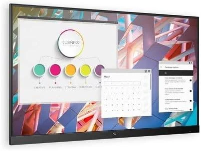 Hewlett Packard (HP) HP E24 G4 monitorius (9VF99A9)