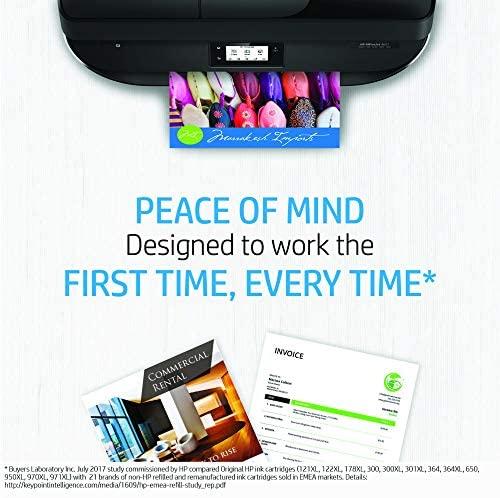 Hewlett Packard (HP) HP no.920XL Cyan Officejet rašalo kasetė (700 puslapių)