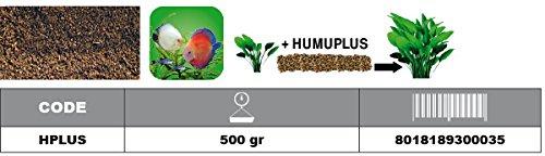 Prodac Humus Plus substratas su trąšomis akvariumo augalams 500g