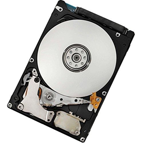 Lenovo IBM 7450 PRO 300 GB 2,5 colio SAS-2 (6 Gb/s) serverio diskas (FRU90Y8878)