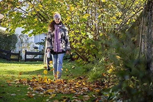 Akumuliatorinis lapų pūstuvas 20V 2Ah Ikra Mogatec ICB 20