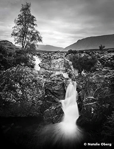 Fotojuosta Ilford ORTHO Plus 120