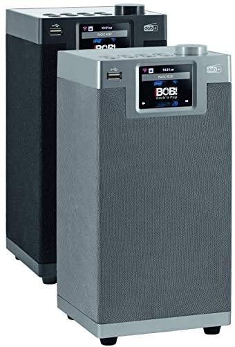 Imperial DABMAN i610 DAB+/FM radijas, pilkas