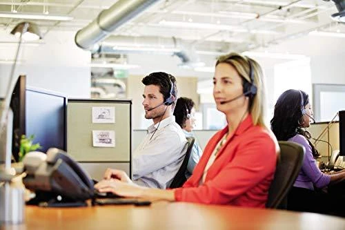 Ausinės JABRA BIZ 2300 DUO USB-C MS/IN