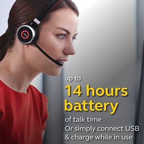 Ausinės JABRA Evolve 65 MS Duo USB
