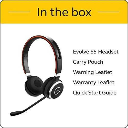 Ausinės JABRA Evolve 65 MS Duo USB