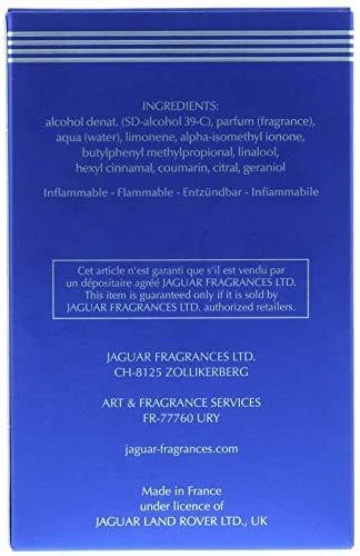 Kvepalai vyrams Jaguar Evolution EDT, 100 ml
