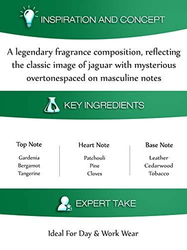 Kvepalai vyrams Jaguar For Men EDT, 100 ml
