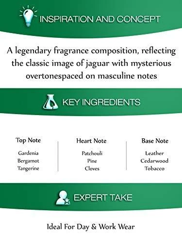Kvepalai vyrams Jaguar For Men EDT, 100 ml