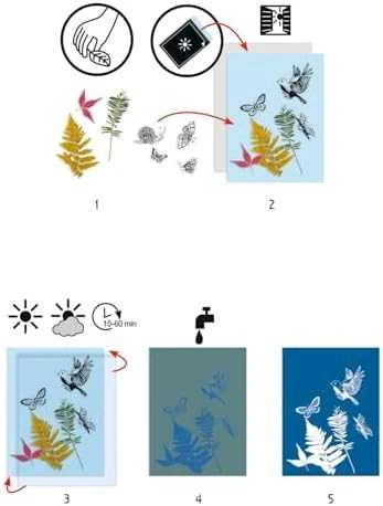 Djeco Cianotipija - Pradinis rinkinys