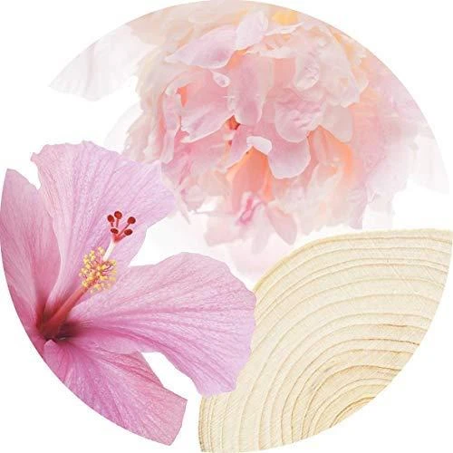 Kvepalai moterims Jimmy Choo L'Eau EDT, 40 ml