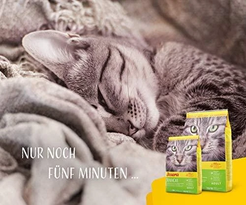 Josera SensiCat sausas maistas suaugusioms turinčioms jautrų skrandį katėms 10kg