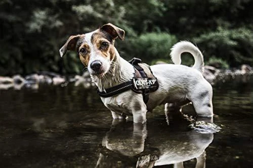 Trixie diržai Julius-K9 Baby / Mini-Mini / Mini XS-S - kamufliažas