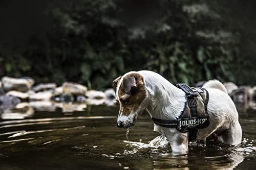 Trixie diržai Julius-K9 Baby / Mini-Mini / Mini XS-S - kamufliažas