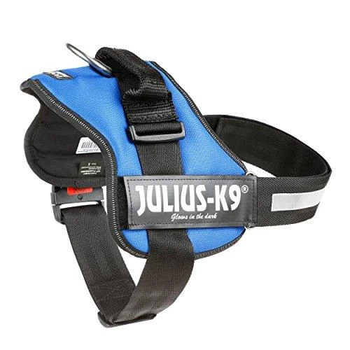 Trixie diržai Julius-K9, 0-3 gr. – mėlyni L