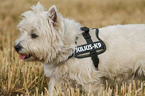 Trixie Julius-K9 Baby / Mini-Mini / Mini M diržai - mėlyni