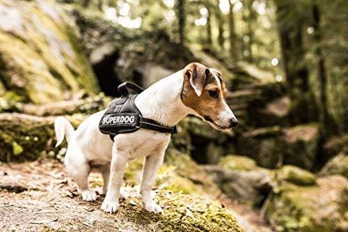 Trixie Julius-K9 diržai, Mini-Mini / S: 40-53 cm, juodi