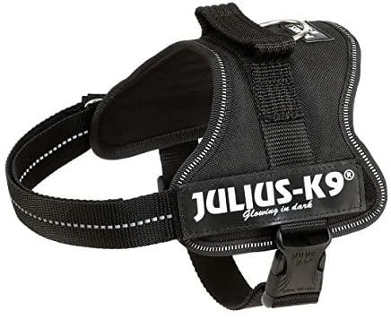 Trixie Petnešos Julius-K9, Mini/M: 51–67 cm, juodos sp.