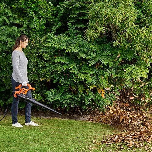 Lapų siurblys-pūstuvas Black & Decker BEBLV260