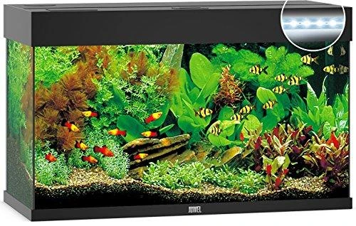 Juwel Akvariumas LED Rio 125 juodos spalvos 125 l 81x36x50cm