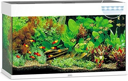 Juwel Akvariumas LED Rio 125 baltos spalvos 125l 81x36x50cm