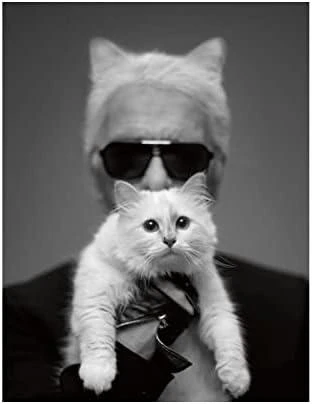 Karl Lagerfeld KLHCP13LSSKCI Apple iPhone 13 Pro / 13 6,1″ kietas dėklas light rožinės spalvos Silicone Karl