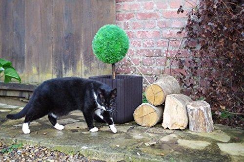 Keter Curver Cube Planter L Ruda (229533)
