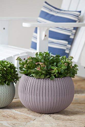 Keter Curver Cube Planter L Ruda (229533)