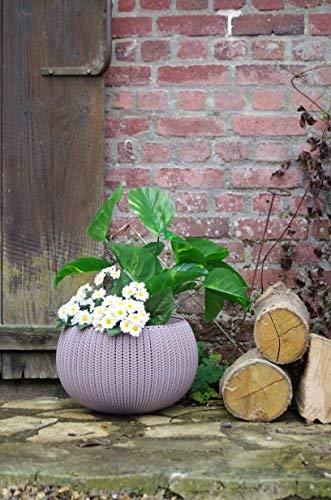 Keter Curver Cube Planter L Ruda (229533)