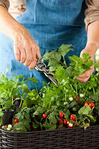 Pakeltas vazonas EASY GROW viskio ruda