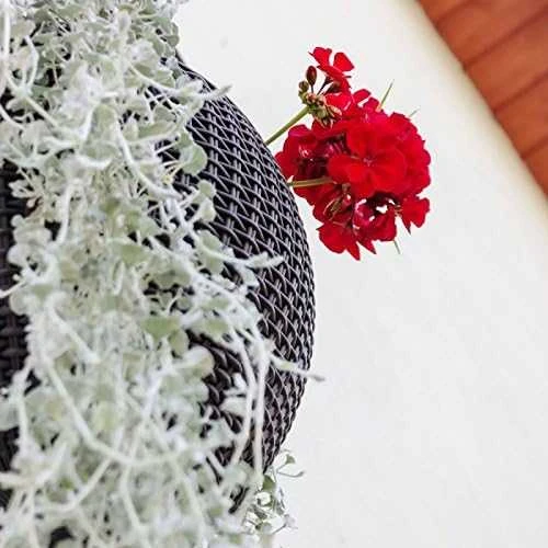 Ketter Hanging Sphere Planter apvalus pakabinamas vazonas, antracito spalvos