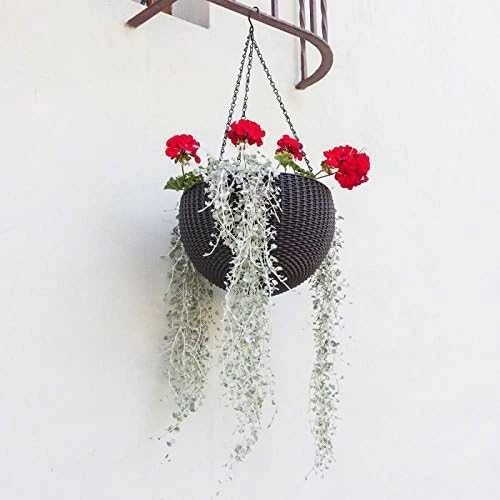 Ketter Hanging Sphere Planter apvalus pakabinamas vazonas, antracito spalvos