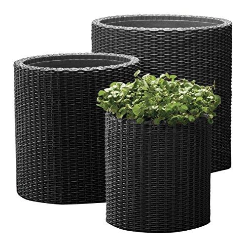 Keter S+M+LCYLINDER PLANTERS, 230217