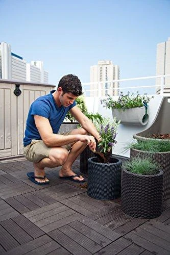 Keter S+M+LCYLINDER PLANTERS, 230217