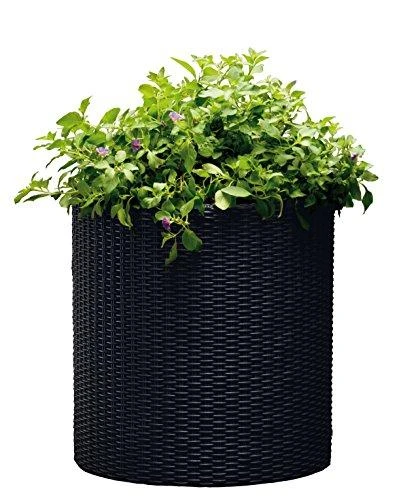 Keter S+M+LCYLINDER PLANTERS, 230217