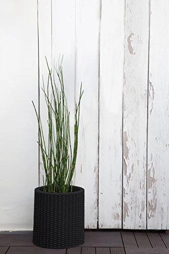 Keter S+M+LCYLINDER PLANTERS, 230217
