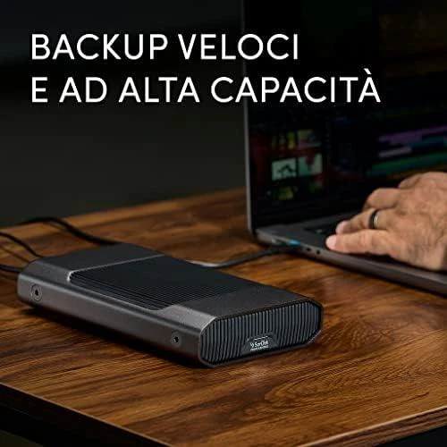 Western Digital SANDISK Professional G-DRIVE 12TB 3,5 colio USB-C 5Gbps USB 3.1 Enterprise-Class darbalaukio kietasis diskas - Kosminė pilka