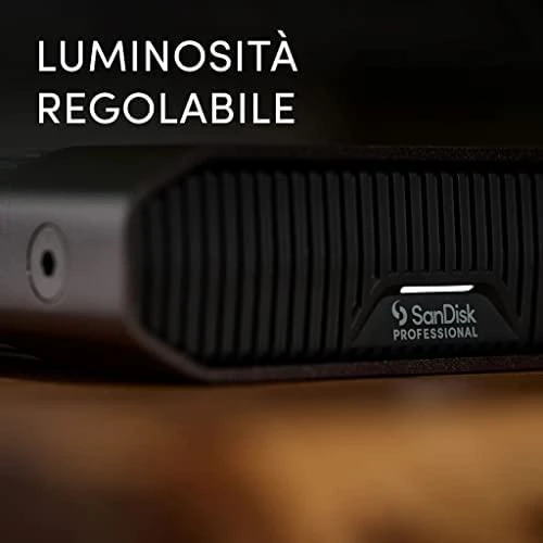 Western Digital SANDISK Professional G-DRIVE 22TB 3,5 colio USB-C 5Gbps USB 3.1 Enterprise-Class darbalaukio kietasis diskas - Kosminė pilka