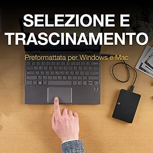 Išorinis kietasis diskas HDD Seagate Expansion Portable 2TB