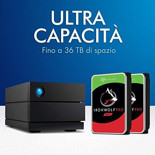 Kietasis diskas LaCie 2big Raid USB-C 40TB