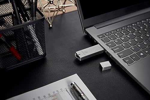 USB 3.0 atmintis Kingston IronKey Basic S1000 16GB, sidabro sp. / KING-2314