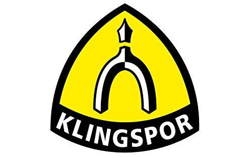KLINGSPOR ŚCIERNICA LISTKOWA TRZPIENIOWA KM613 60mm x 30mm x 6mm gr.100