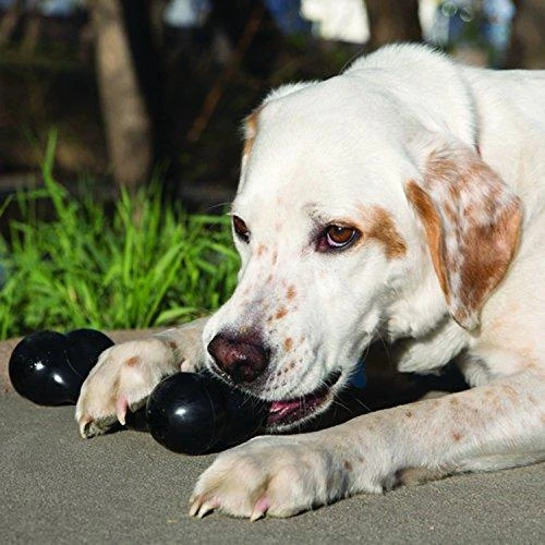 KONG Extreme Goodie Bone žaislas šunims, M