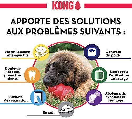 KONG Puppy guminis žaislas šuniukams, M